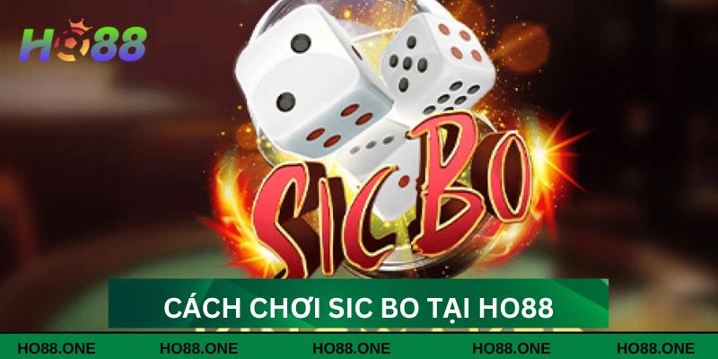 Cách chơi Sic Bo đơn giản dành cho anh em Cách chơi Sic Bo đơn giản dành cho anh em