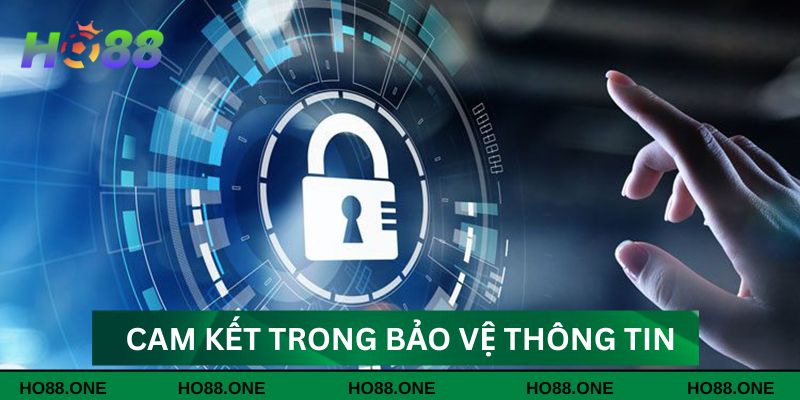 Cam kết của nhà cái trong bảo vệ thông tin khách hàng Cam kết của nhà cái trong bảo vệ thông tin khách hàng
